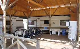 Camping Tsitreli